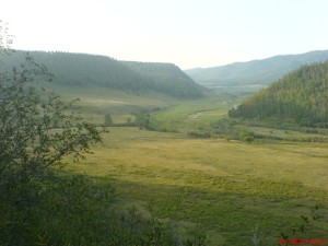Bulgan